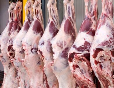 10 melhores açougues no Abranches em Curitiba