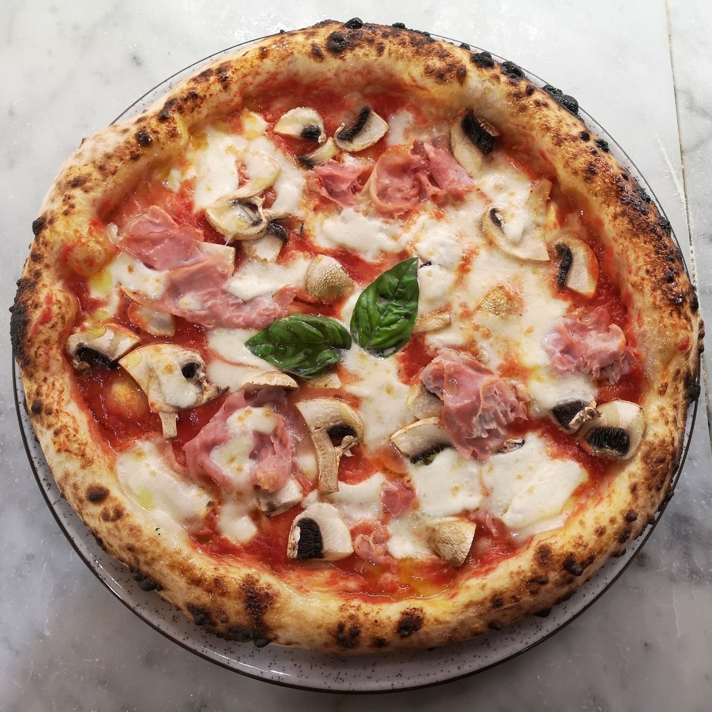 10 Melhores Pizzarias no Rebouças em Curitiba